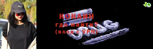 стаф Арсеньев