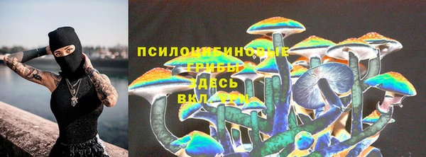 стаф Арсеньев