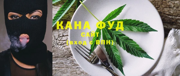 стаф Арсеньев