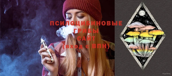 стаф Арсеньев