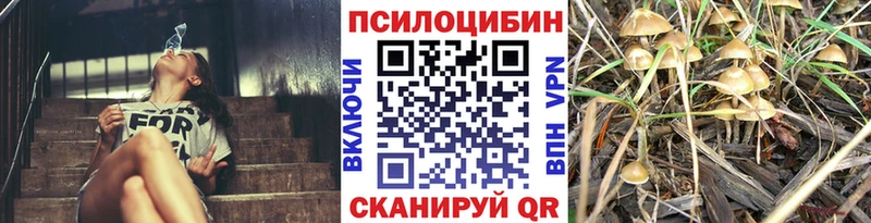 купить   Белогорск  Псилоцибиновые грибы MAGIC MUSHROOMS 